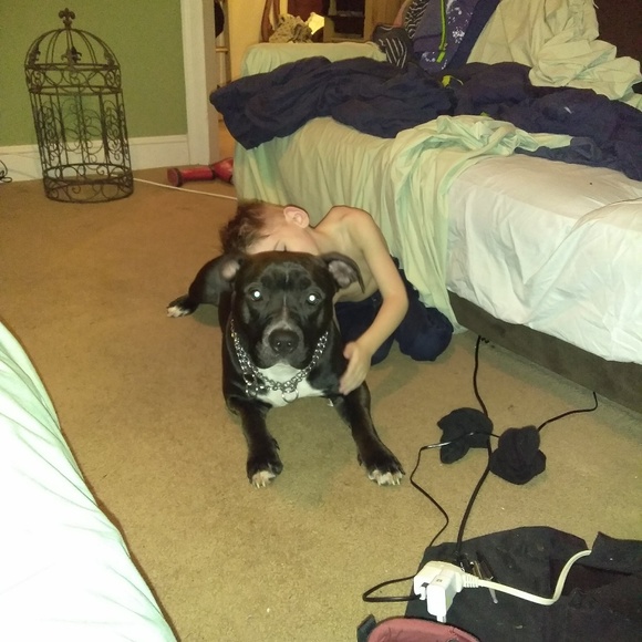 Meet your Posher, John - Picture 4 of 5